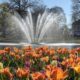 Bloemen Oranjepark Apeldoorn