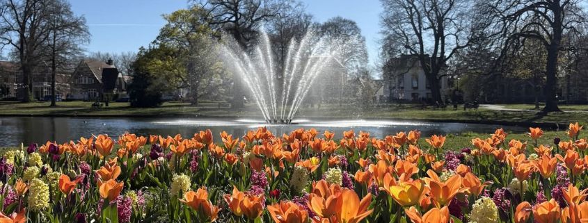 Bloemen Oranjepark Apeldoorn