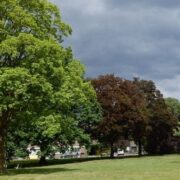 IVN Natuurwandeling Park Kerschoten