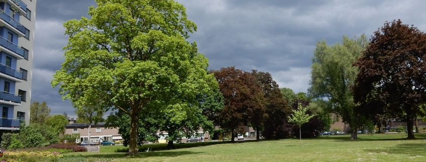 IVN Natuurwandeling Park Kerschoten