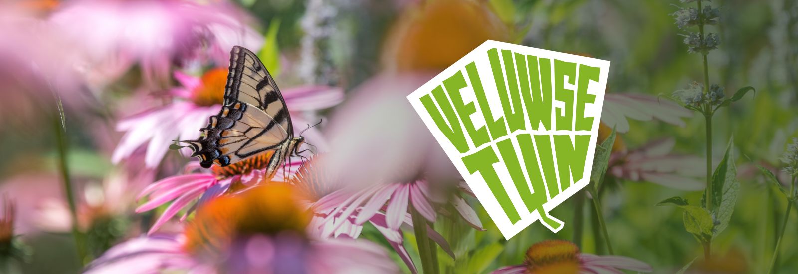 Veluwse Tuin header deA