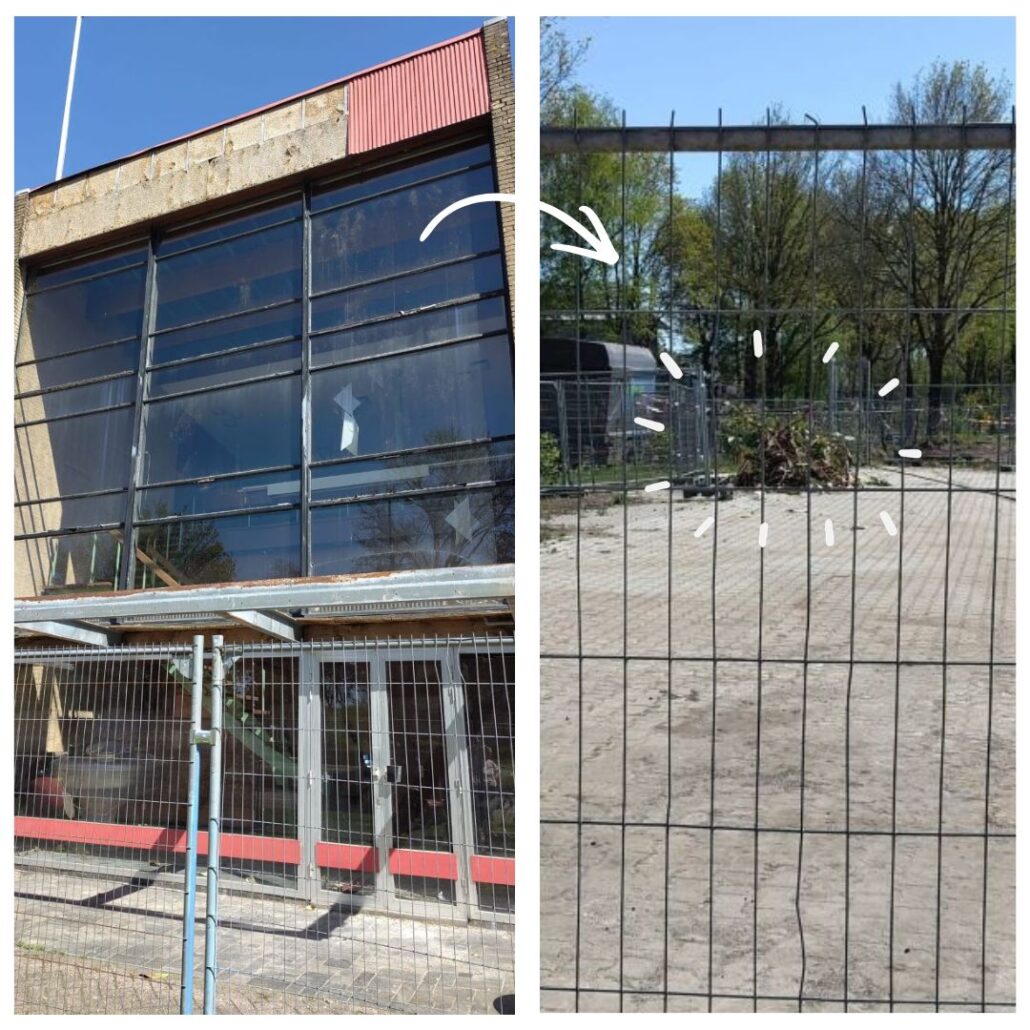 Reddingsactie ficusplant Plaatijzerindustrie Zero Waste Apeldoorn