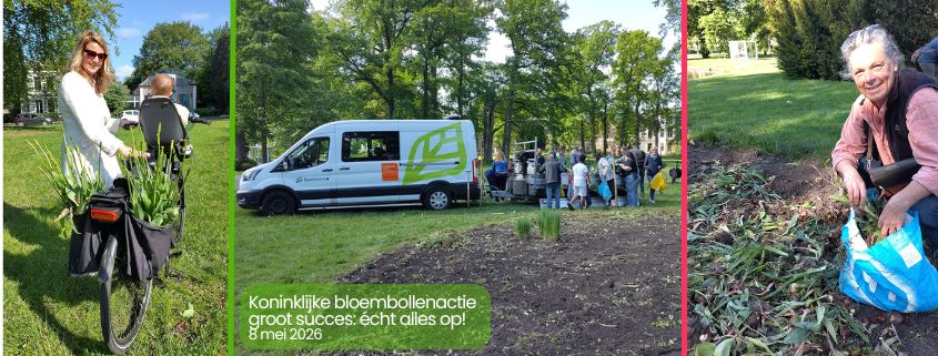 Koninklijke bloembollenactie groot succes écht alles op!