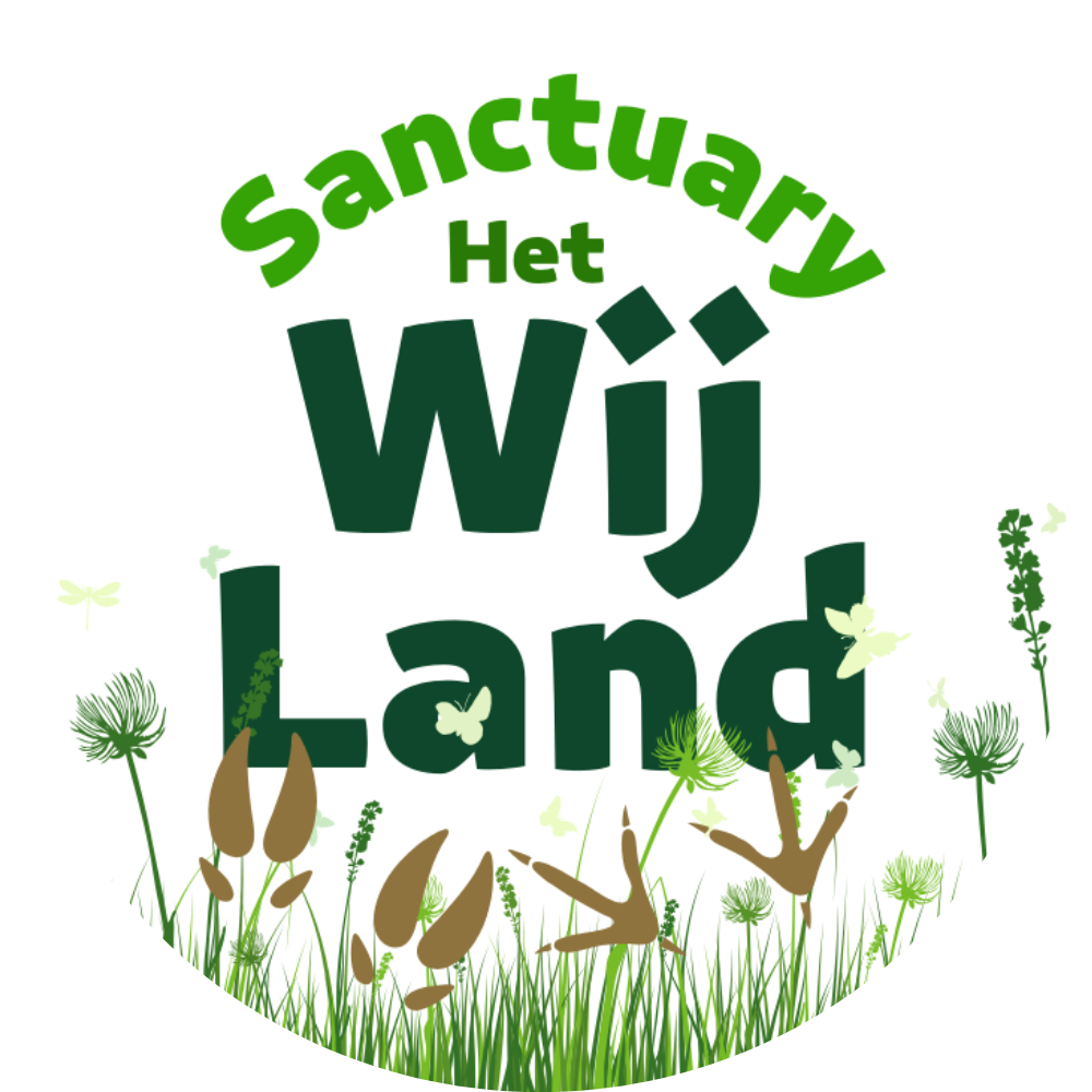 Sanctuary logo