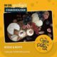 Planty of Food Festival standhouder – Rosie & Riffy