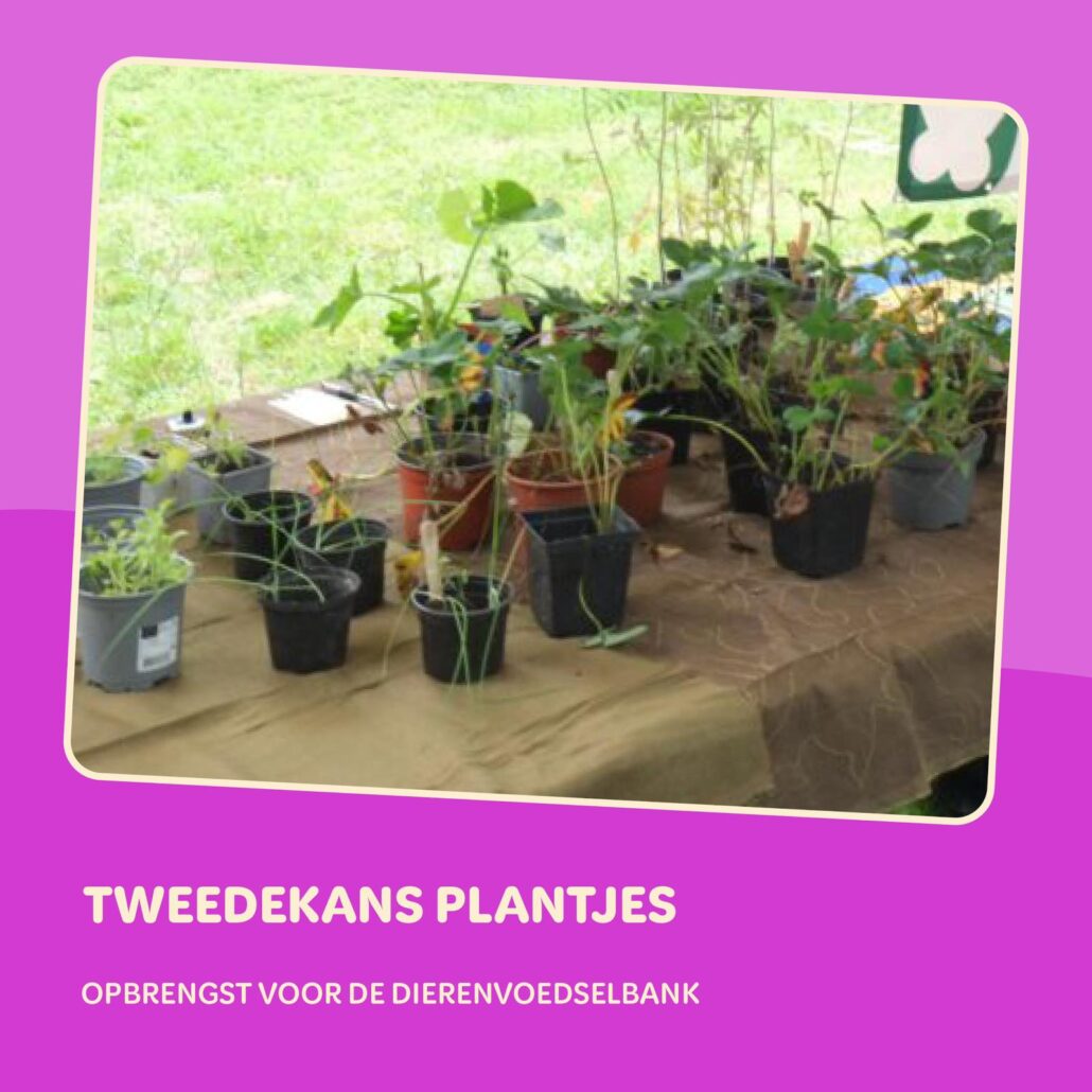 Planty of Food Festival Tweedekans
