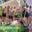 Ploggen Juli 2026 Zuid Zero Waste Apeldoorn