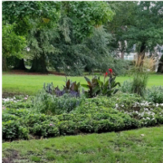 Gratis planten Oranjepark