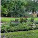 Gratis planten Oranjepark
