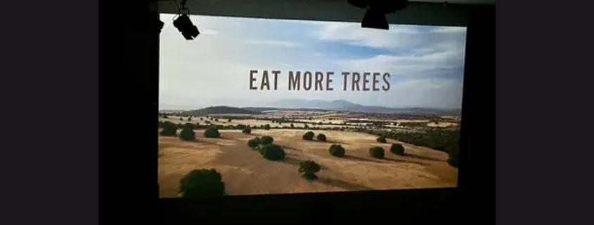 Film en pizza Zero Waste Week Apeldoorn VegaVrijdag