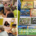 Puzzelavond oktober 2026 Zero Waste Apeldoorn