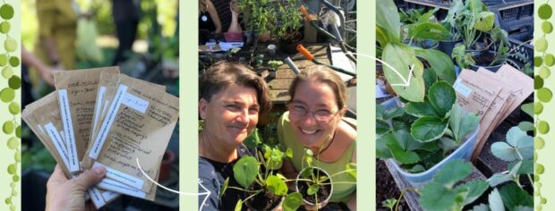 Zaadjes planten stekjes ruilen