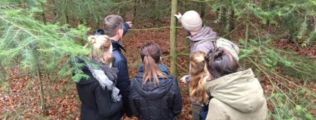 Zaterdag - Wildplukken - Wandeling met Sander Bosman